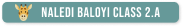 Name tag for Naledi Baloyi