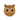 Cute cartoon owl face illustration