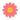 Pink Flower