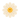 White Flower